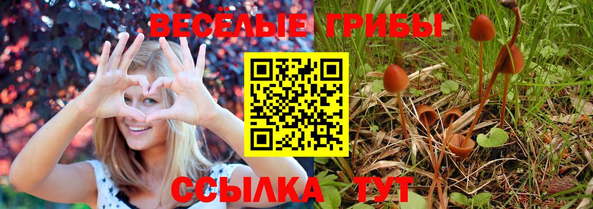 Галлюциногенные грибы Psilocybine cubensis  Вход с VPN  Пятигорск 
